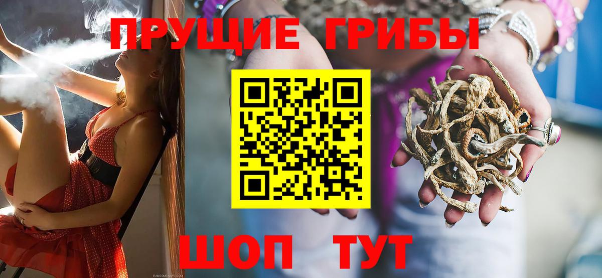 Псилоцибиновые грибы мицелий Егорьевск