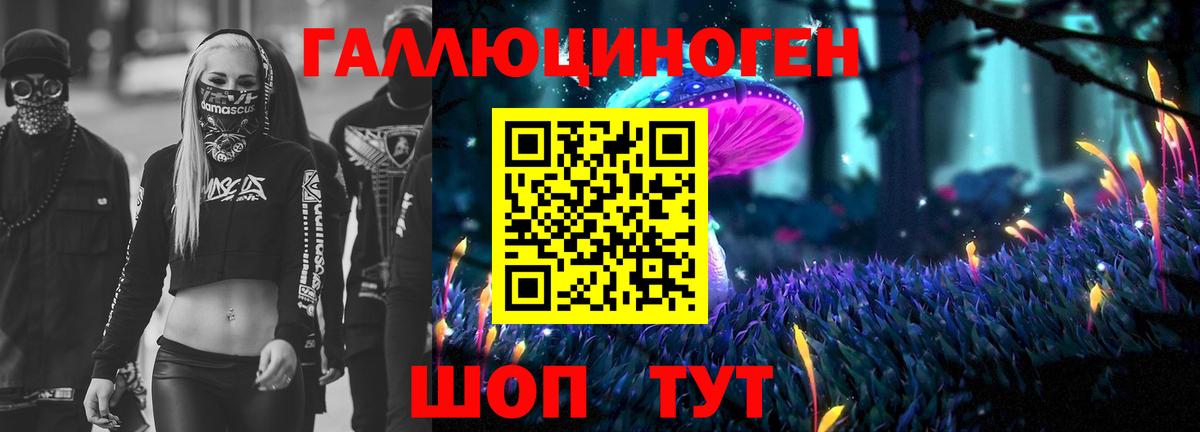 Егорьевск  Псилоцибиновые грибы Psilocybe  Вход с VPN 