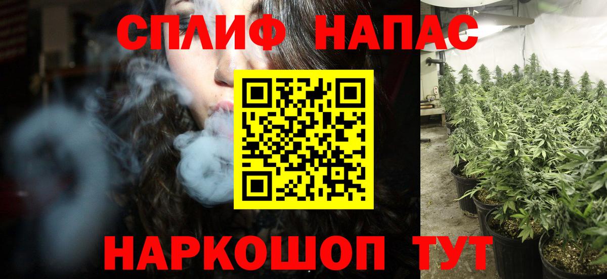 Бошки марихуана планчик  Конопля Amnesia  Егорьевск  Вход с VPN  Каннабис марихуана 